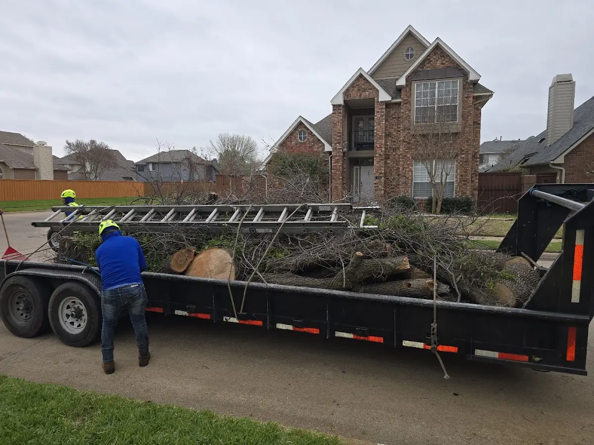Expert Tree Removal with proper safety equipment in Four Lakes